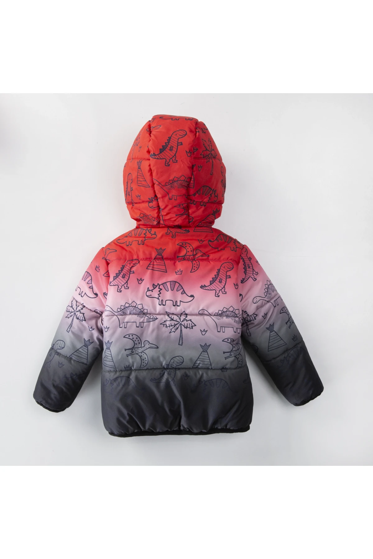 Erkek Çocuk Kırmızı Siyah 1-5 Yaş Kışlık İçi Polar Astarlı Kapüşonlu Şişme Mont HZL24W-MDM1513261