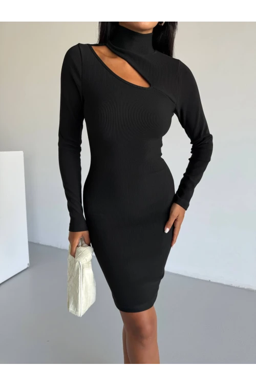 Kadın Siyah Boğazlı Uzun Kollu Ottoman Kumaş Elbise HZL25S-FRY123331