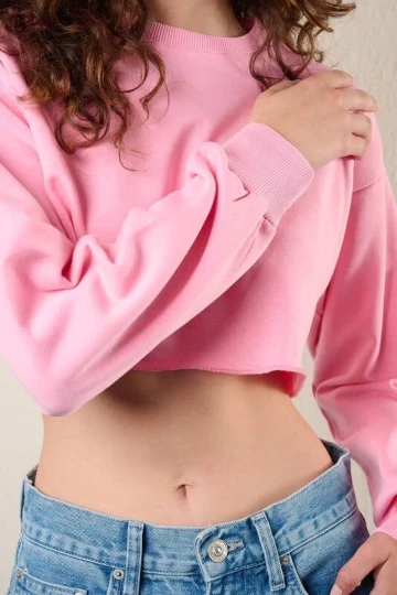 Kadın Pembe  Basic Bisiklet Yaka Uzun Kollu Crop Sweatshirt HZL24W-ZK11351